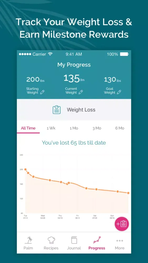 South Beach Diet Tracker Screenshots