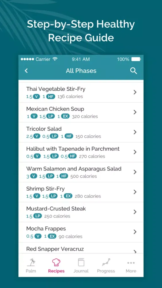 South Beach Diet Tracker Screenshots