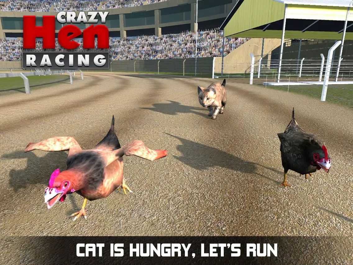 Hen Racing Simulator - Race Free Range Chickens iPad  Screenshots