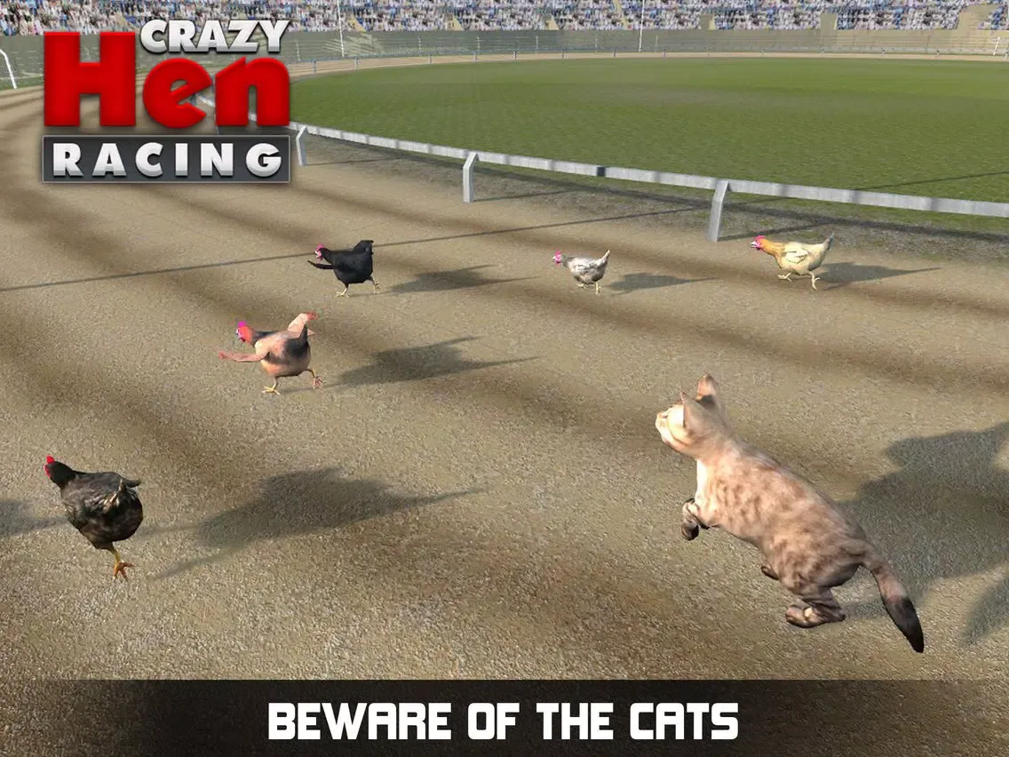 Hen Racing Simulator - Race Free Range Chickens iPad  Screenshots