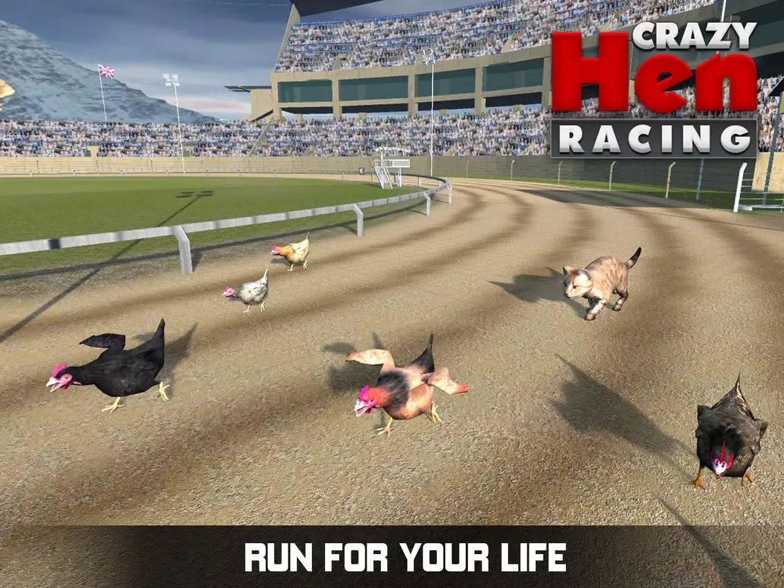 Hen Racing Simulator - Race Free Range Chickens iPad  Screenshots