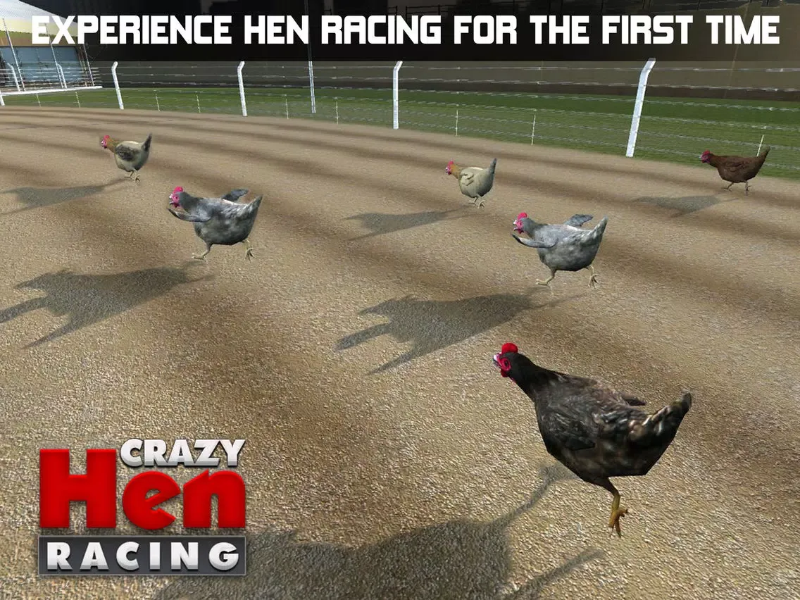 Hen Racing Simulator - Race Free Range Chickens iPad  Screenshots