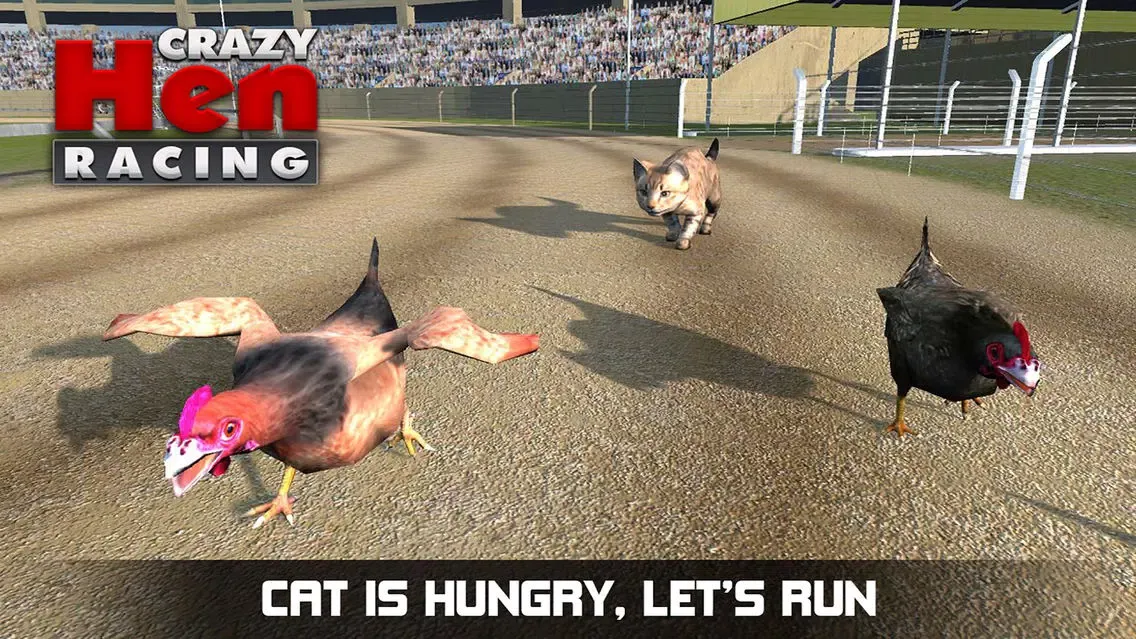 Hen Racing Simulator - Race Free Range Chickens Screenshots