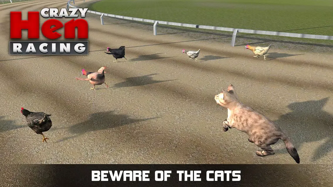 Hen Racing Simulator - Race Free Range Chickens Screenshots
