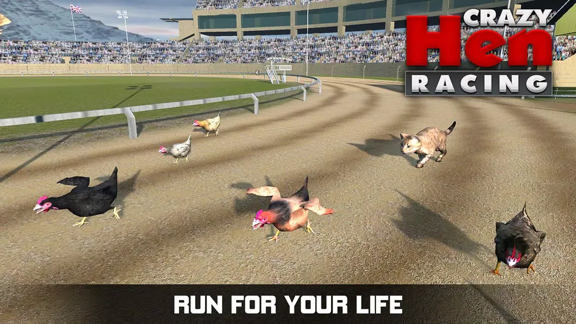 Hen Racing Simulator - Race Free Range Chickens Screenshots