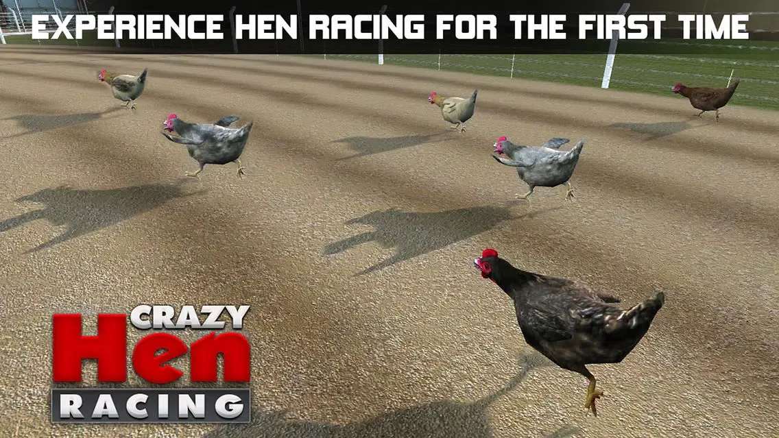 Hen Racing Simulator - Race Free Range Chickens Screenshots