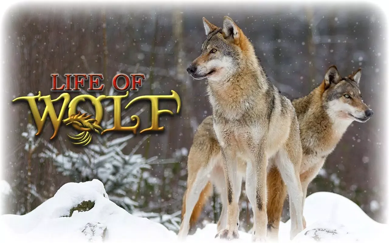 Wolf Life Simulator Screenshots