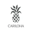 Cariloha Comfort Base