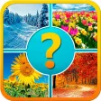 4 pictures 1 word