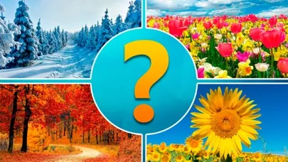 Скриншоты 4 pictures 1 word
