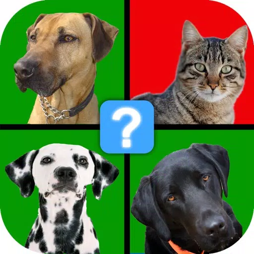 Odd 1 Out Quiz - Four Pics Edition Odd 1 Out Quiz - Four Pics Edition