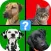 Odd 1 Out Quiz - Four Pics Edition