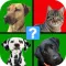 Odd 1 Out Quiz - Four Pics Edition