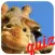 A Guess the Close Up Pics Trivia Quiz - Ultimate Word Heroes Random Puzzle Game - Free App