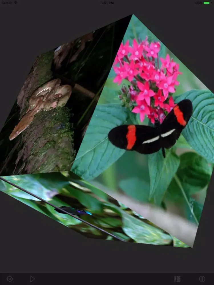 MyPhotoCube iPad 應用截圖