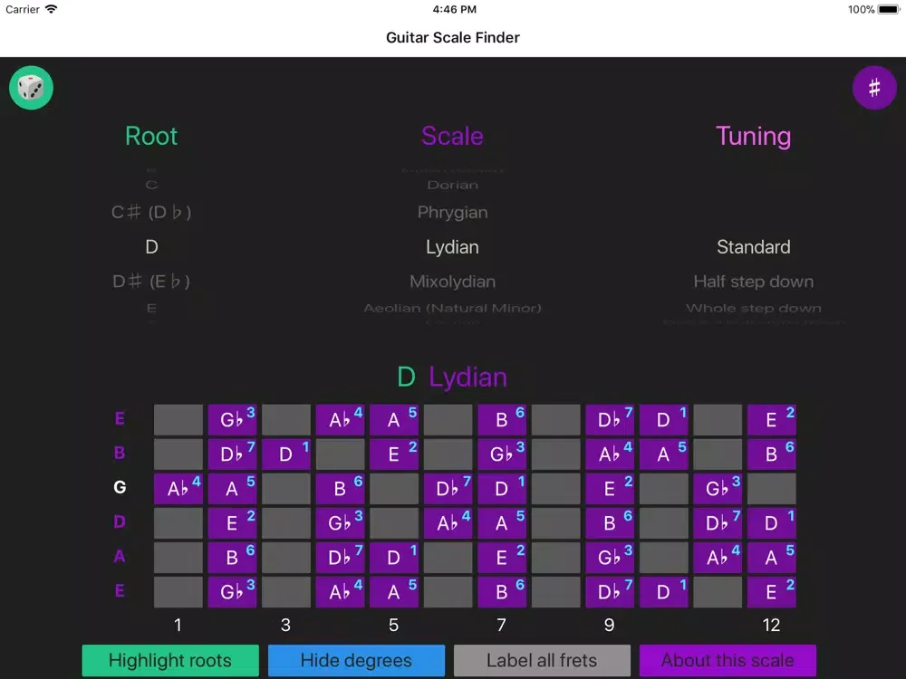Guitar Scale Finder iPad  স্ক্রিনশট