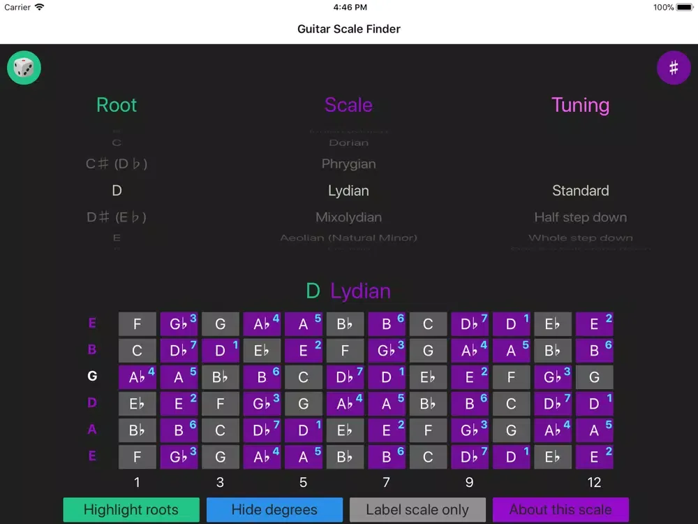 Guitar Scale Finder iPad  স্ক্রিনশট