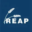 Scale-Tec REAP Scale-Tec REAP
