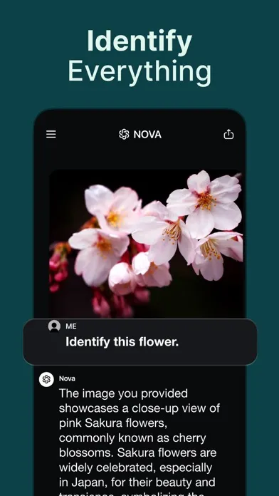 AI Chatbot - Nova স্ক্রিনশট