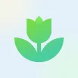 Plant App: Plant Identifier