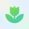 Plant App: Plant Identifier