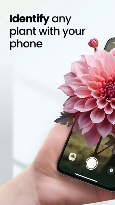 Plant App: Plant Identifier应用截图
