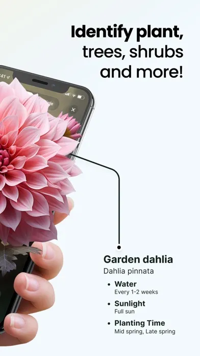Plant App: Plant Identifier应用截图