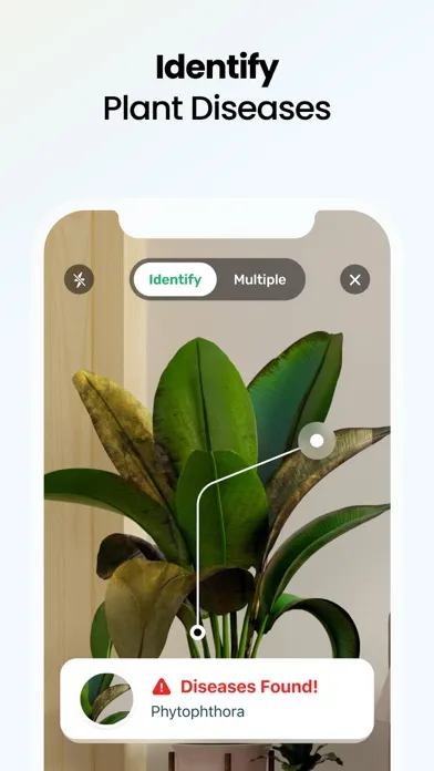 Plant App: Plant Identifier应用截图