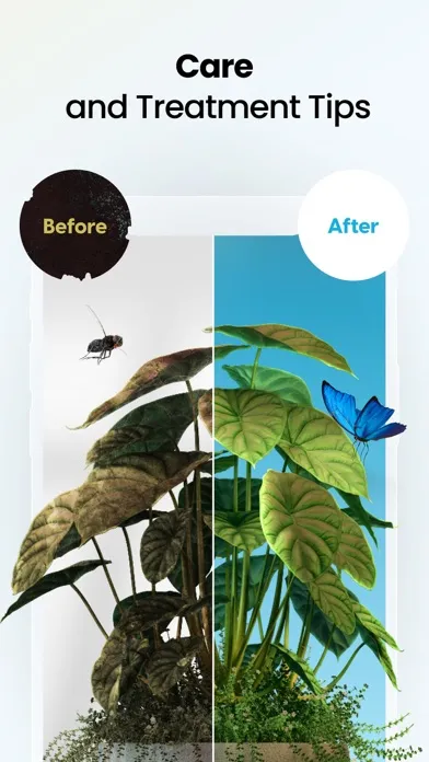 Plant App: Plant Identifier应用截图