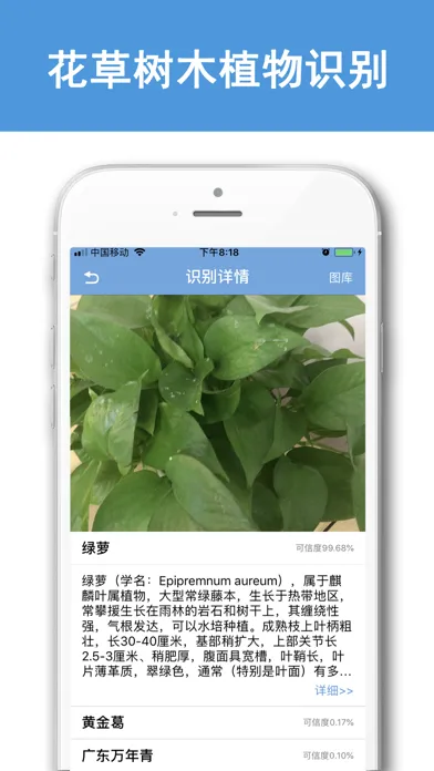 صور 识别全能王-养花卉树木植物识别