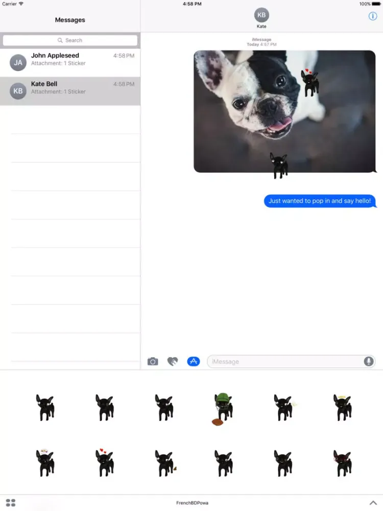 صور French Bulldog Powa iPad 