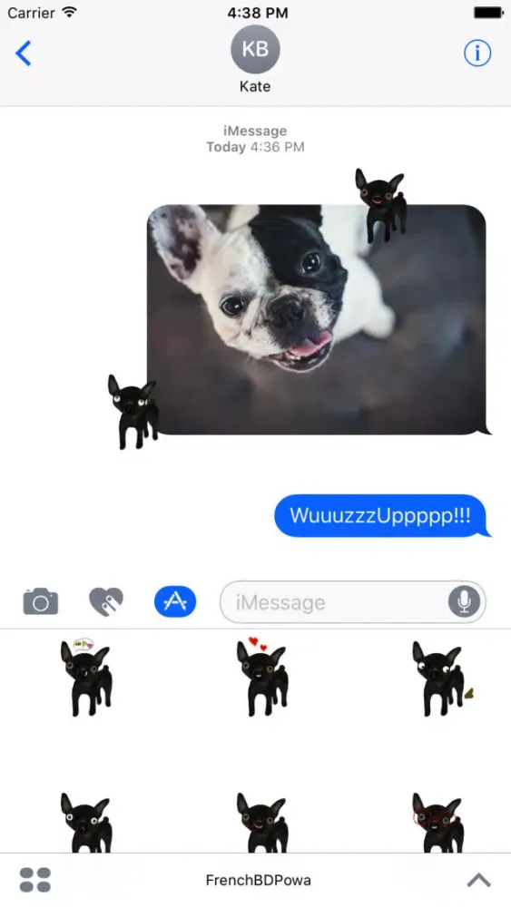 صور French Bulldog Powa
