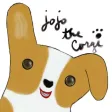 JoJo-The-Corgi JoJo-The-Corgi
