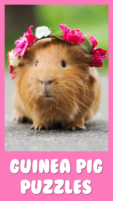 Guinea Pig Jigsaw Puzzle Games স্ক্রিনশট