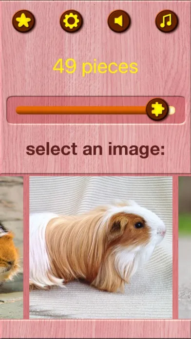 Guinea Pig Jigsaw Puzzle Games স্ক্রিনশট