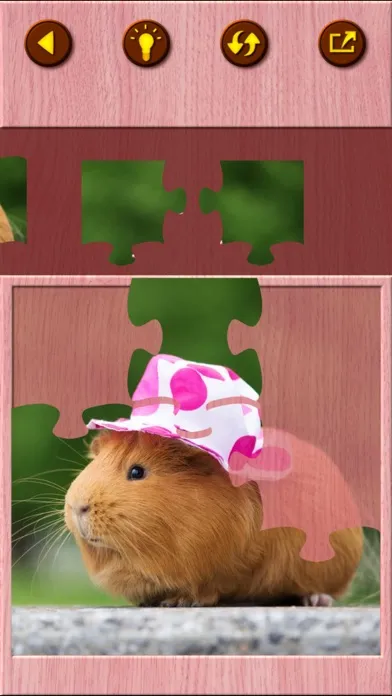 Guinea Pig Jigsaw Puzzle Games স্ক্রিনশট