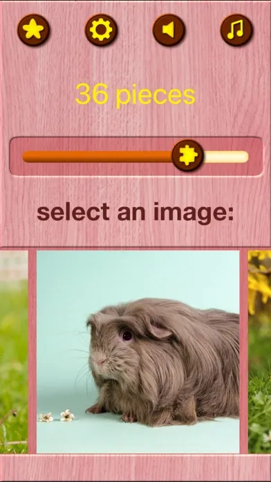 Guinea Pig Jigsaw Puzzle Games স্ক্রিনশট