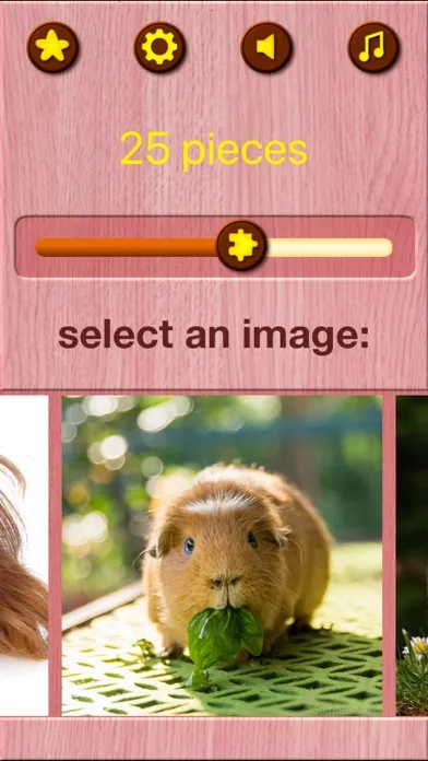 Guinea Pig Jigsaw Puzzle Games স্ক্রিনশট