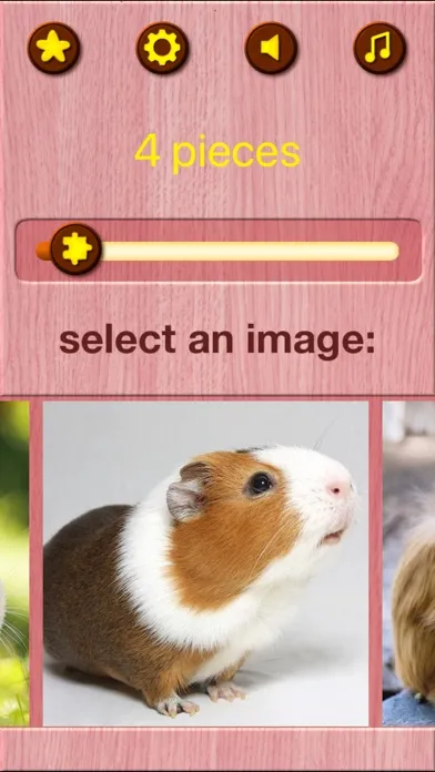 Guinea Pig Jigsaw Puzzle Games স্ক্রিনশট