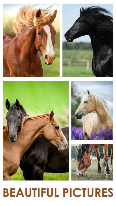 Captures d'écran de Horse Jigsaw Puzzle Games