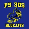 PS 305 Dr Peter Ray ES