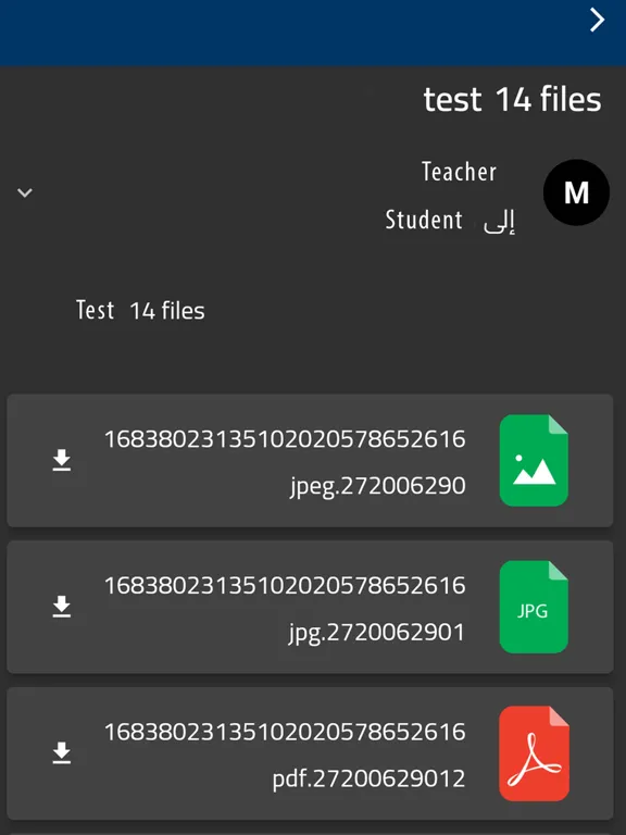 تصاویر Future International School iPad 