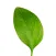 Instituto SEEDS