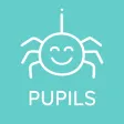 School Spider Pupils