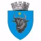 Sighetu Marmatiei CityApp