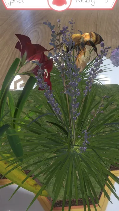 Screenshot di Cykle Życia