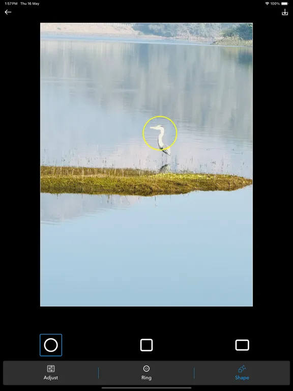 Screenshot di Photo editor with magnifier iPad 