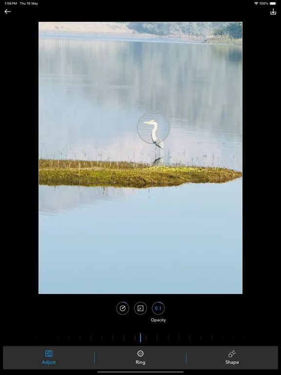 Screenshot di Photo editor with magnifier iPad 