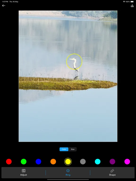 Screenshot di Photo editor with magnifier iPad 