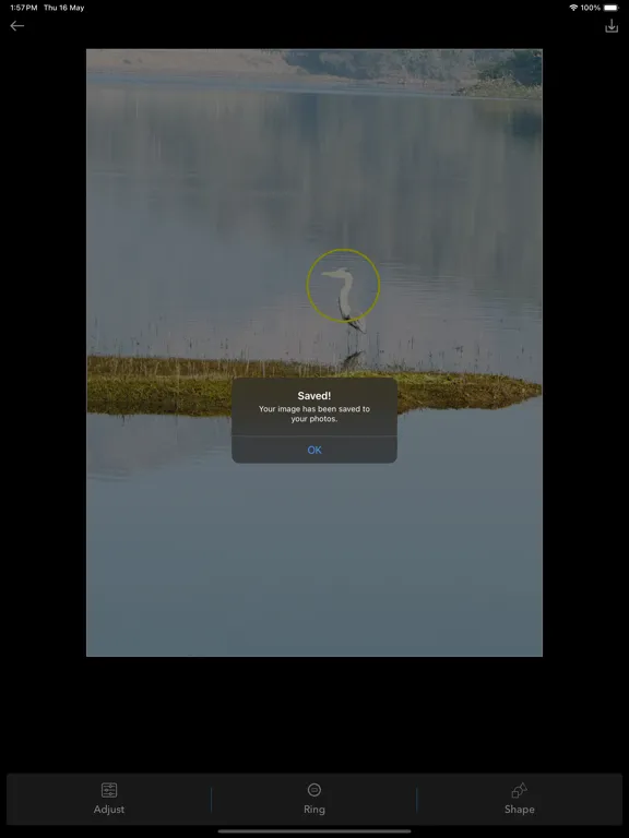 Screenshot di Photo editor with magnifier iPad 